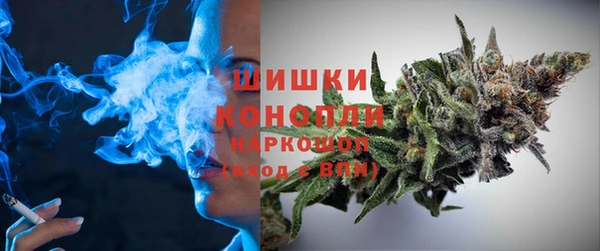 mdpv Богородицк